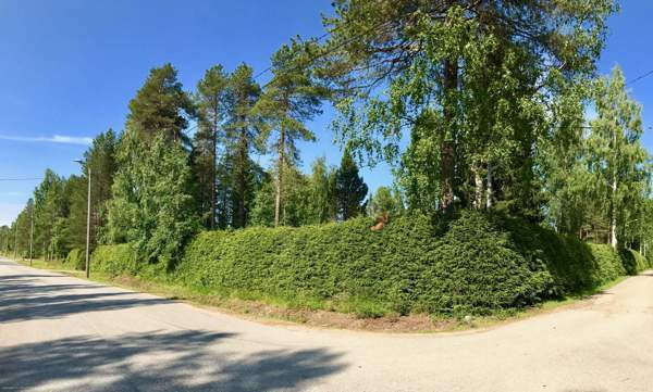 5h + s  Ranua - valokuva 8