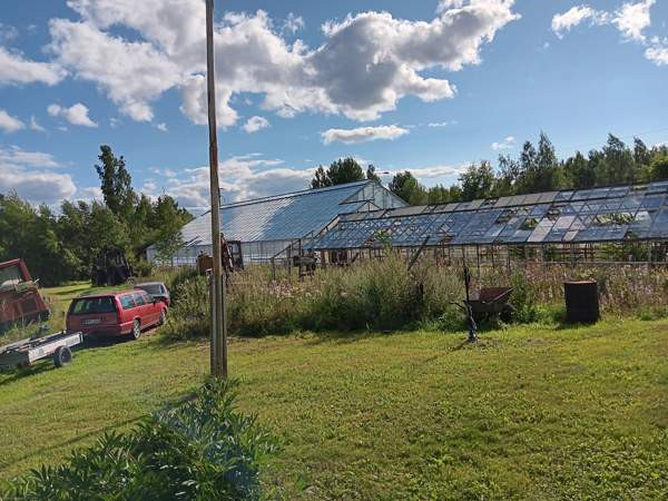 4h + k  Turtkul – foto 3