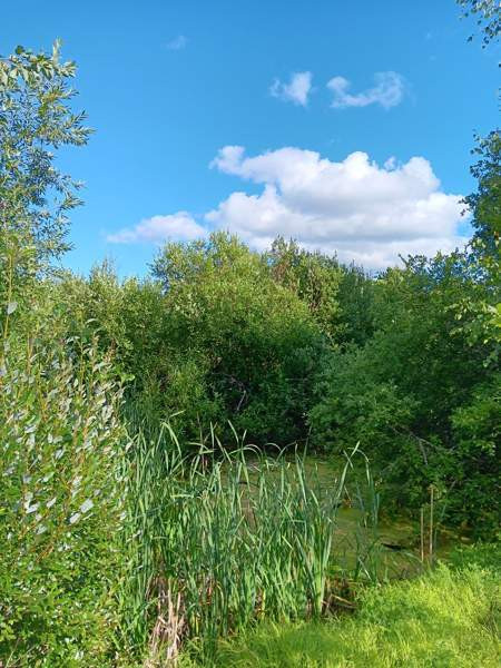 4h + k  Turtkul – foto 4