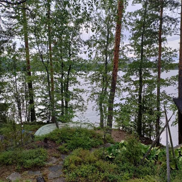 1h  Hirvensalmi – foto 5