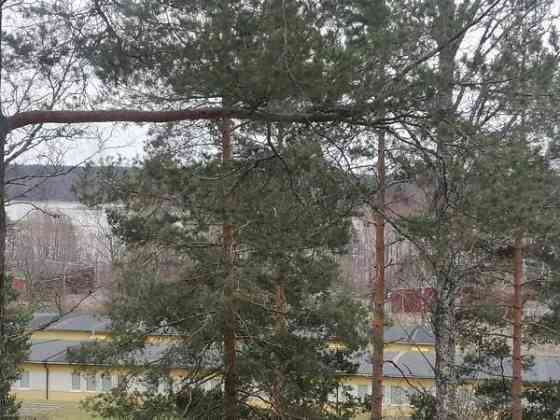 2h + k + p  Raasepori