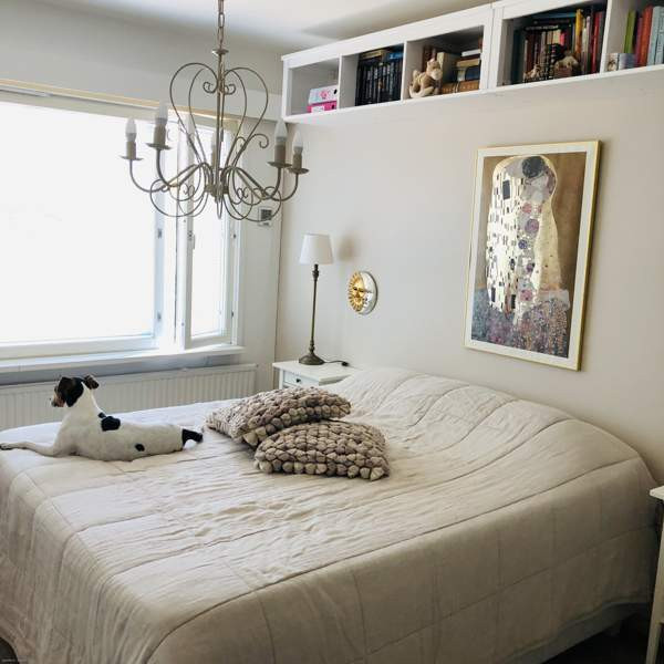 3h + p  Chukotskiy Avtonomnyy Okrug - photo 3