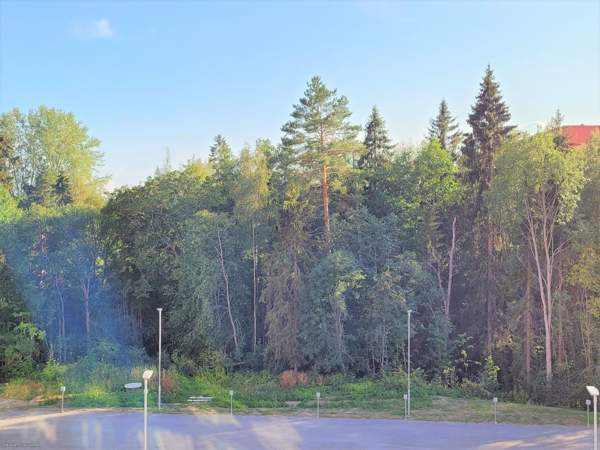 1h + avok + p  Nokia - photo 7