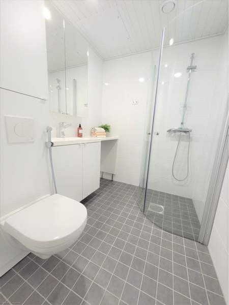 1h + avok + p  Nokia - photo 6