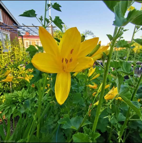 1h  Tampere - photo 7