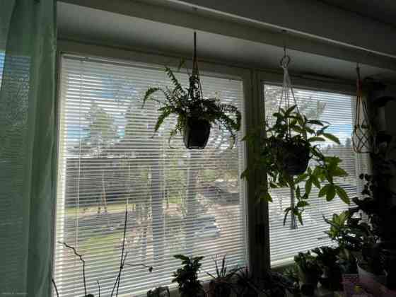 2h + k +kph+parv  Chukotskiy Avtonomnyy Okrug