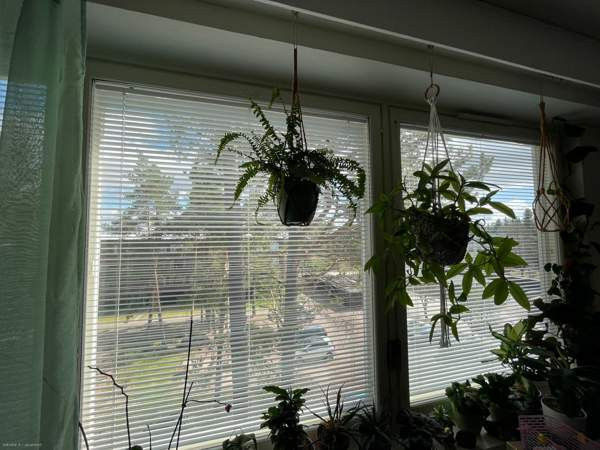 2h + k +kph+parv  Chukotskiy Avtonomnyy Okrug - valokuva 3