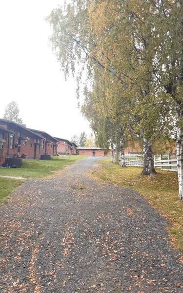 2h + k  Ilomantsi - photo 1