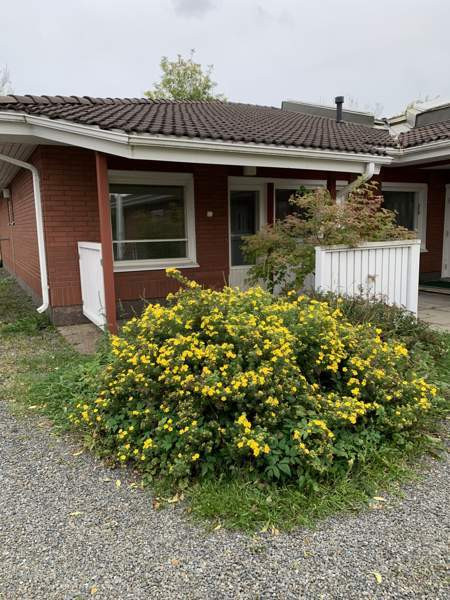 2h + s  Punkalaidun - photo 1