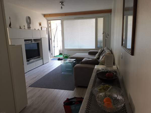 2h + p  Ruovesi - photo 5