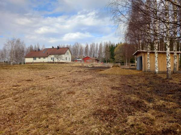 5h + s + p  Chuvashskaya Respublika – foto 2