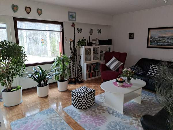 2h + avok + s  Chuvashskaya Respublika – foto 2