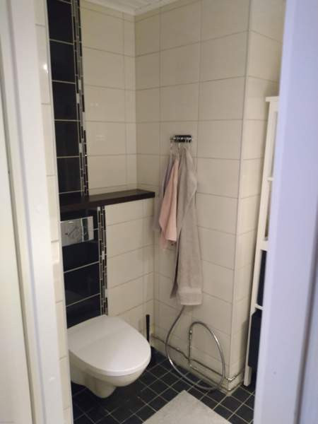 4h + k + s  Zaporiz'ka Oblast' - valokuva 5