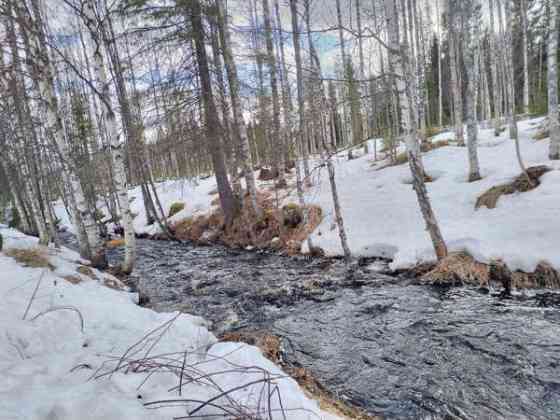 5h + k + s  Taivalkoski