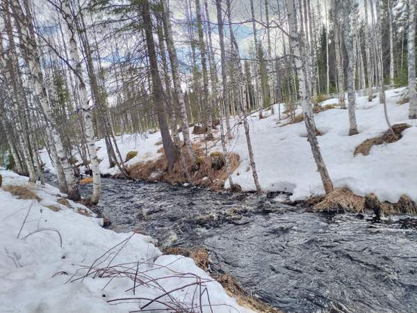 5h + k + s  Taivalkoski - valokuva 5