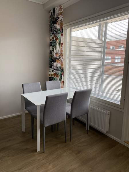 1h + s + terassi  Savonlinna - photo 5