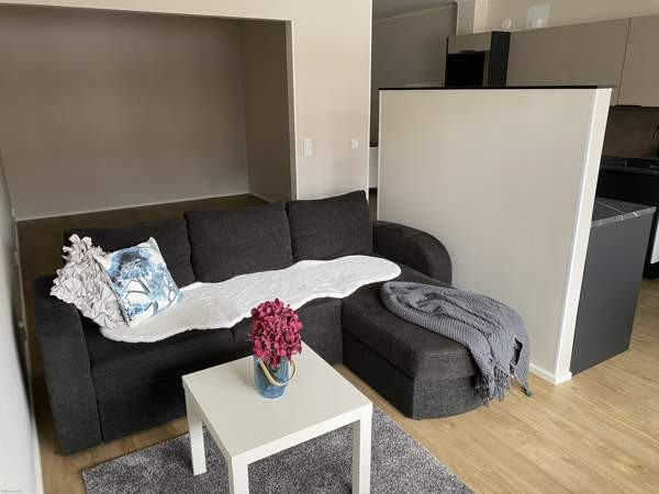 1h + s + terassi  Savonlinna - photo 6