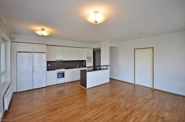 3h + s + p  Kemin - photo 1