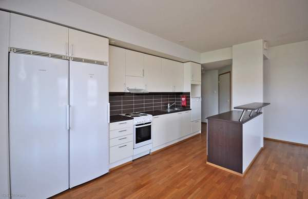 3h + s + p  Kemin - photo 5