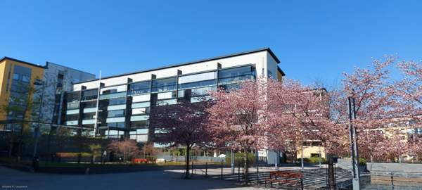 3H, avok, sauna, vh, lasi. parv.  Helsinki - photo 1