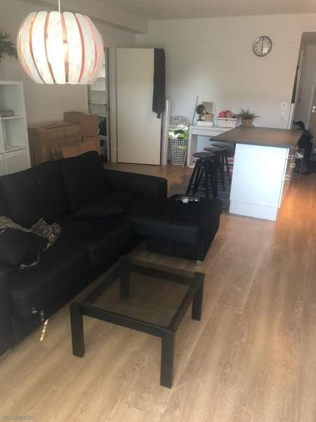 3h + avok + p  Glebychevo - valokuva 7