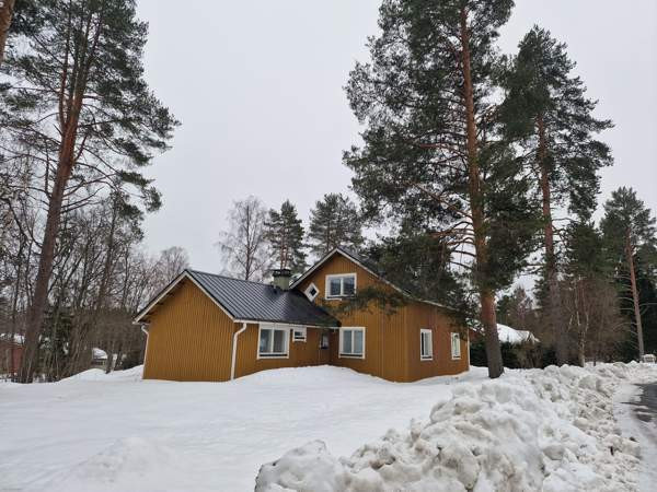 3h + k + s  Vesanto – foto 1