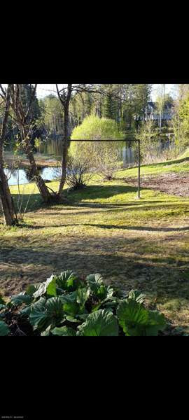 3h + s  Kontiolahti - valokuva 4