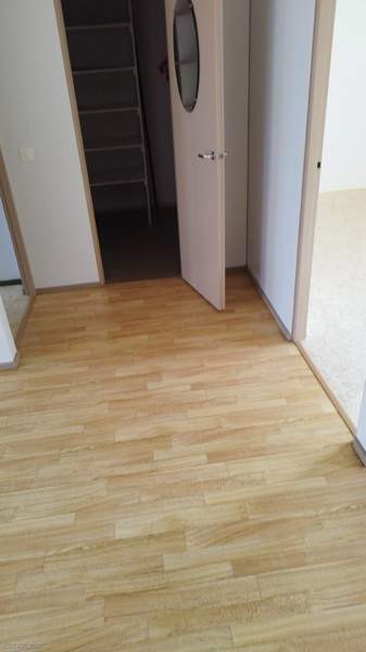 3h + s  Rautjärvi - photo 6