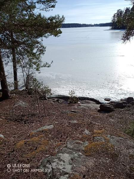 4h + s  Лохья - изображение 2