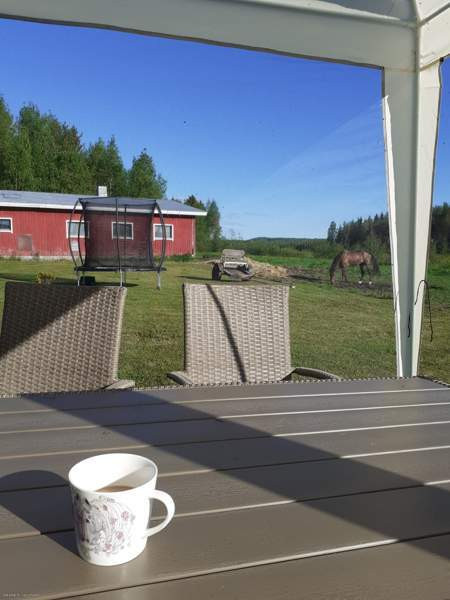 4h+k+s  Nurmes - изображение 1