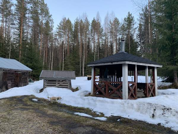 2h + avok  Heinävesi - valokuva 5