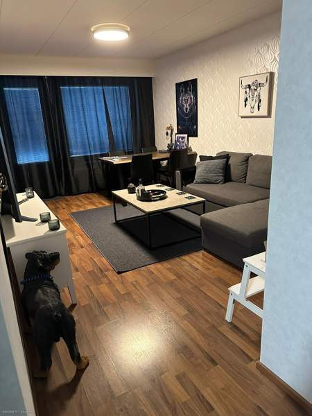 2h + avok  Keminmaa - valokuva 1