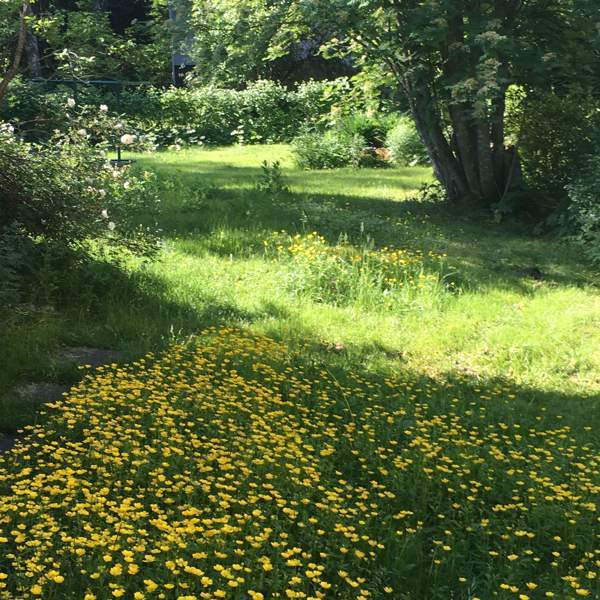 6h, k, rh/th, oh, 2xkph/wc, 3xet, aula. Kellarik.  Hyvinge – foto 1