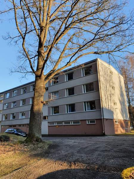 5h + k + p  Glebychevo - valokuva 1