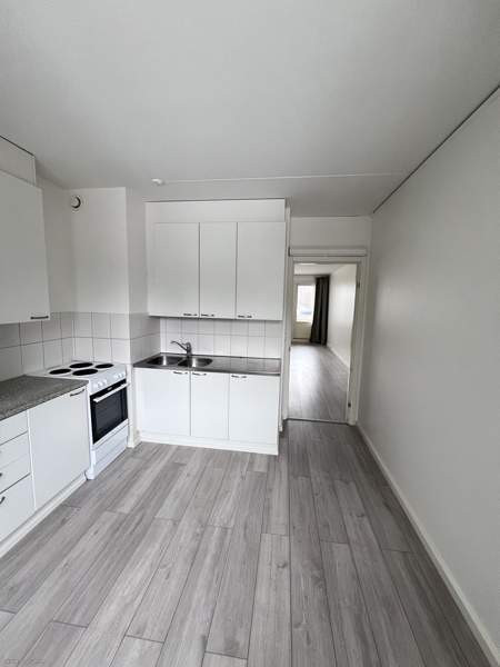 2h + k + p  Турткуль - изображение 6