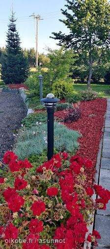 5h + s  Kyyjärvi - valokuva 8