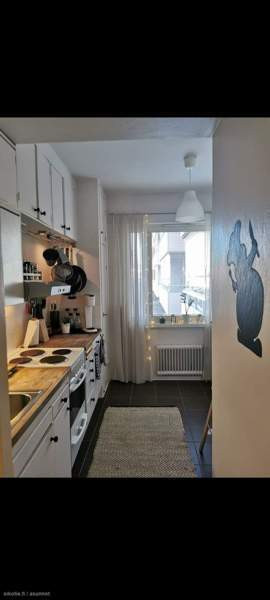 2h + p  Chukotskiy Avtonomnyy Okrug – foto 5