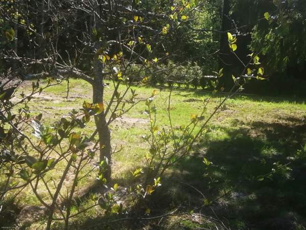 4h  Helsinki - valokuva 3