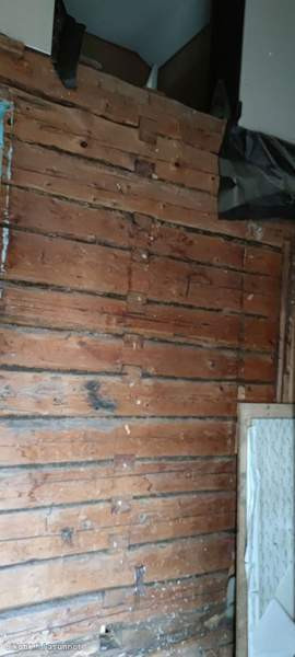 10  Vehmaa - valokuva 7