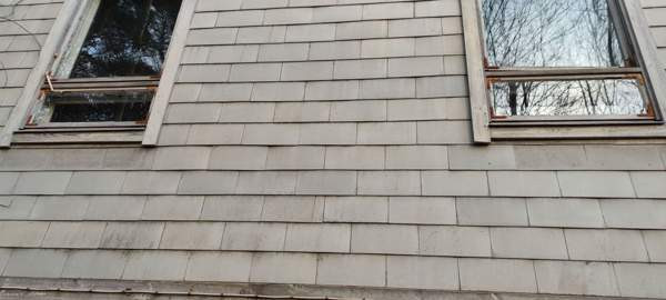 10  Vehmaa - valokuva 6