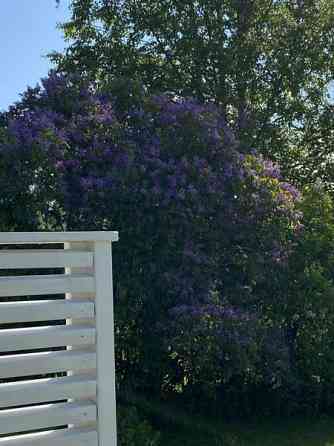 2h + k + s  Kannonkoski