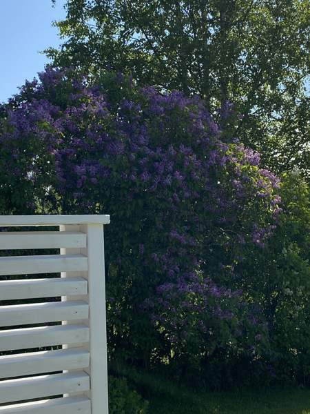 2h + k + s  Kannonkoski – foto 3