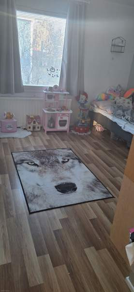 5h + k + s  Rautjärvi - valokuva 7