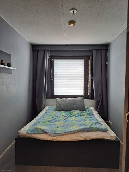 3h + avok + p  Savonlinna – foto 8