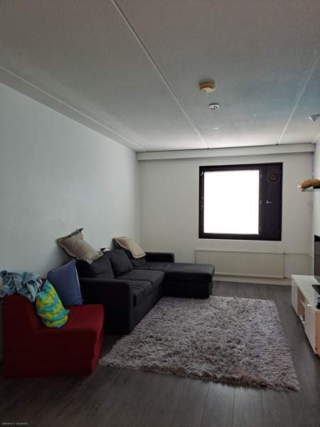 3h + avok + p  Savonlinna – foto 6