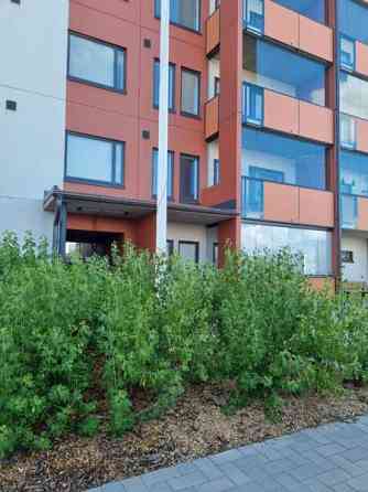 2h + s + p  Jyvaeskylae