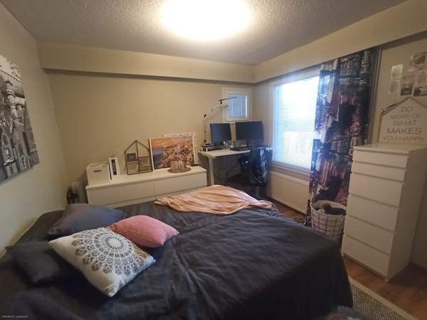 2h  Oulu - valokuva 5