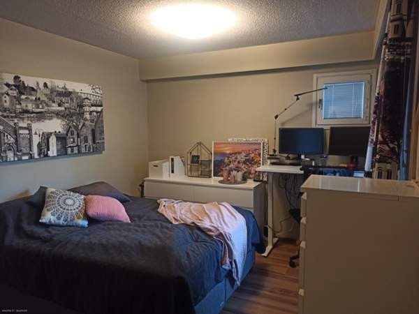 2h  Oulu - valokuva 7