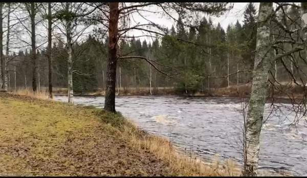 2h + s  Oulu – foto 5