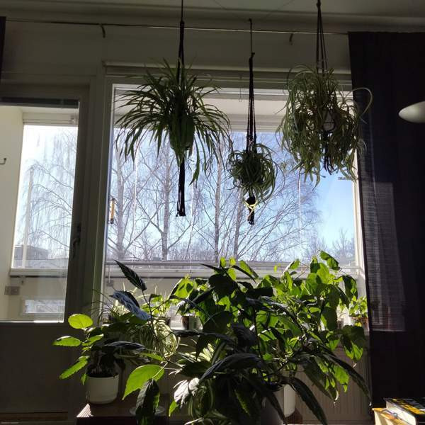 2h + p + kh + vh  Lappeenranta - valokuva 7